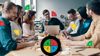 a team sits around the boardroom reviewing their workplace personality assessments from disc workplace