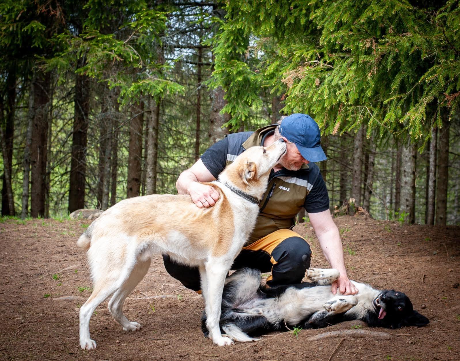 a1c088773d58539c3c38ef2eefabca56