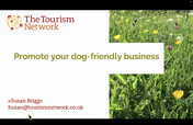 Dog friendly opportunities