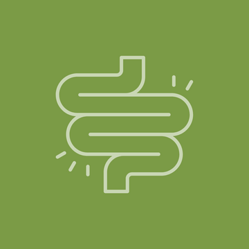 Card image_Fordøjelse