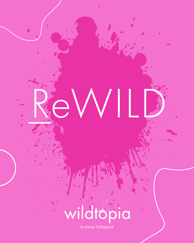 KT_ReWILD_2025_SOME_FEED_4-5