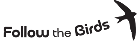Follow the Birds