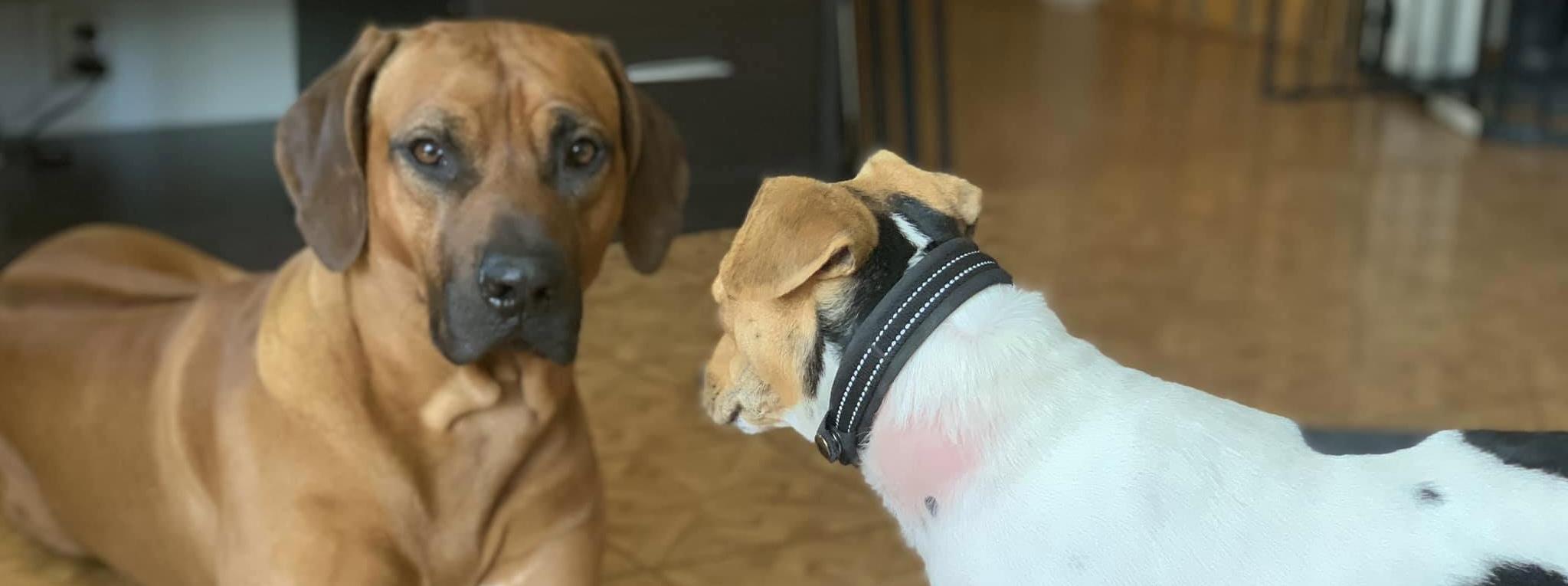 198218114_3304748476418684_6259110040575488462_n 1