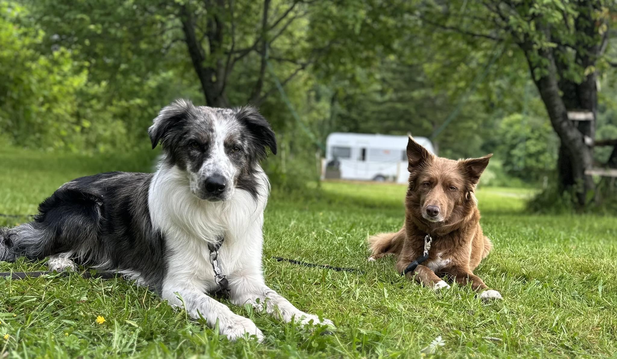 514588255_1142289581249464_4422791537377367976_n