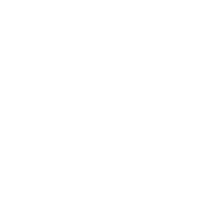 Vykon Customs Authorized Practitioner