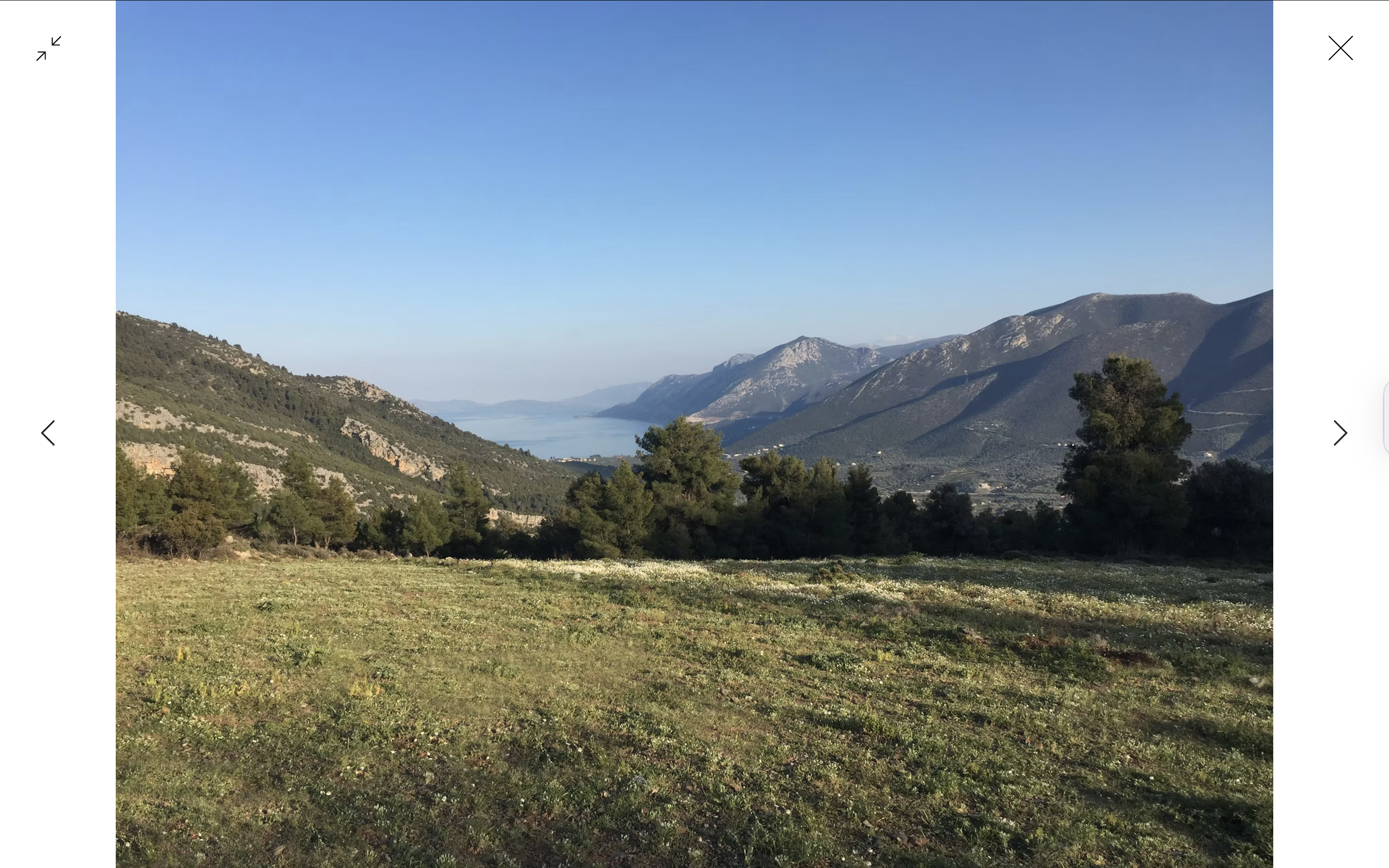 Screen Shot 2025-11-05 at 1.06.36 PM