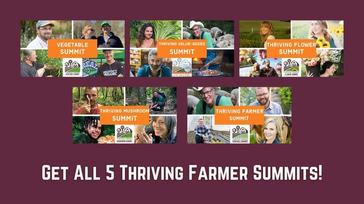 summit bundle product card