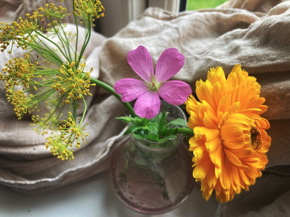 Skærmbillede 2025-11-06 kl. 14.54.17