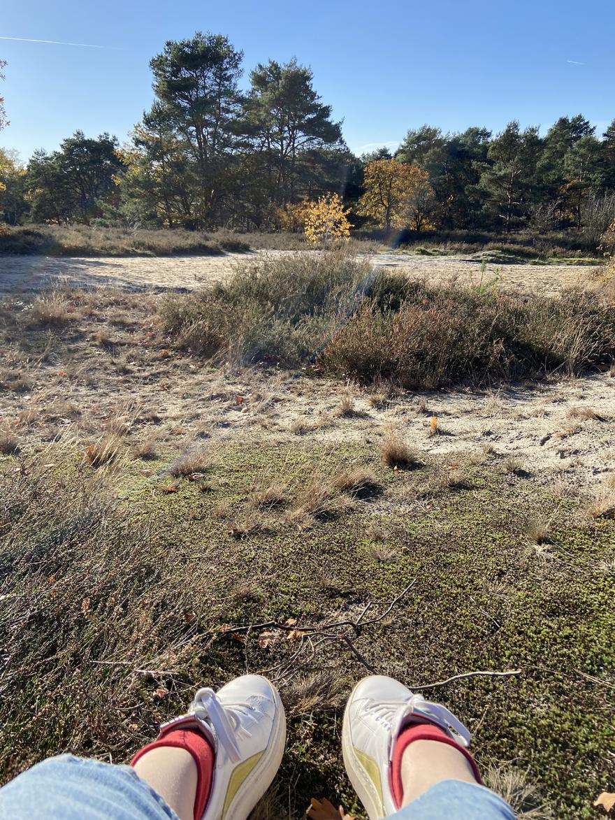 GardenConstellations_opdeheide