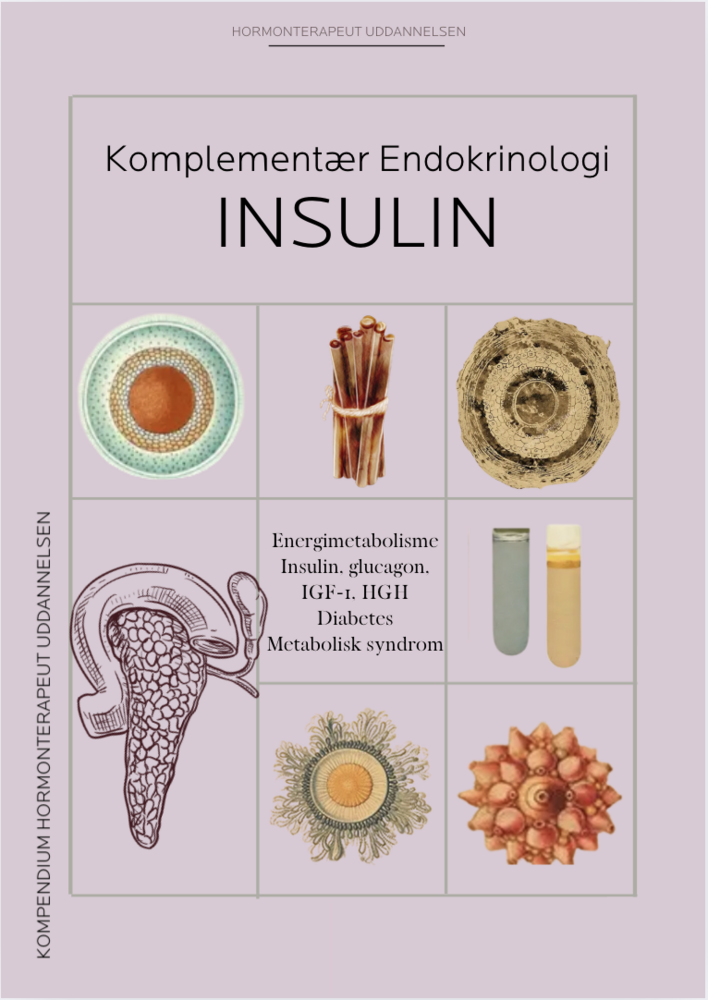 Kompendium: Insulin