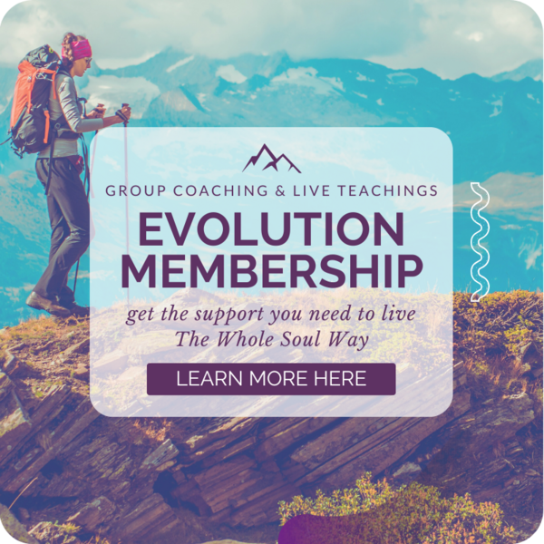 Work With Me Evolution membership 