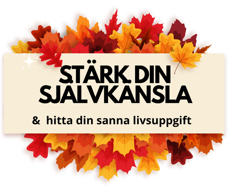 Så stärker du din självkänsla 2 okt 2025 (4)