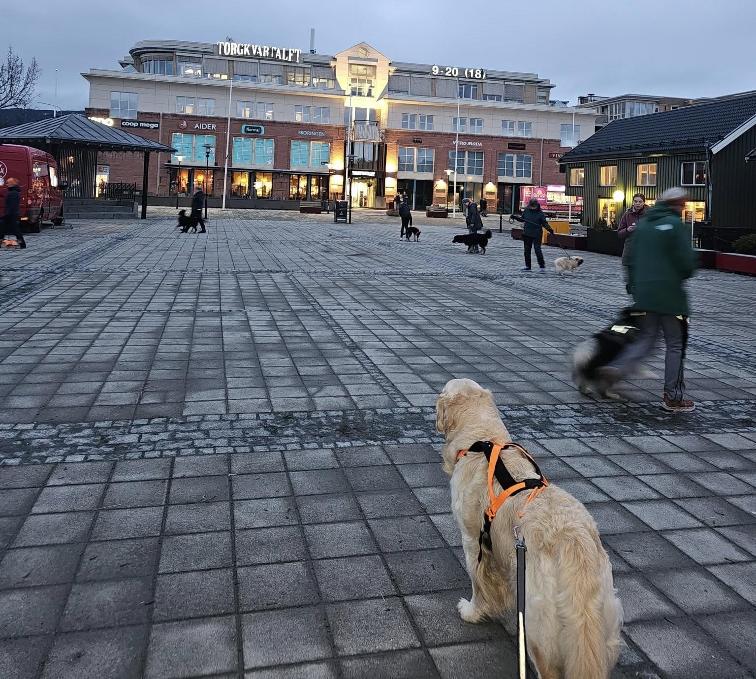 568680987_10215362859942920_9156992458719556439_n (1) 1