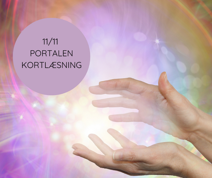 1111PORTALEN KORTLÆSNING