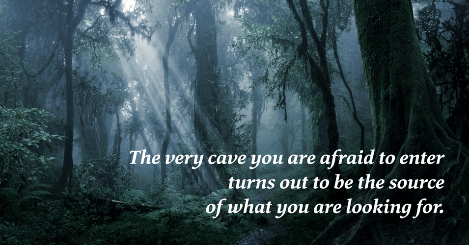 The Shadow Revisited