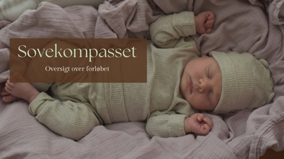 Sovekompasset - oversigt over forløb