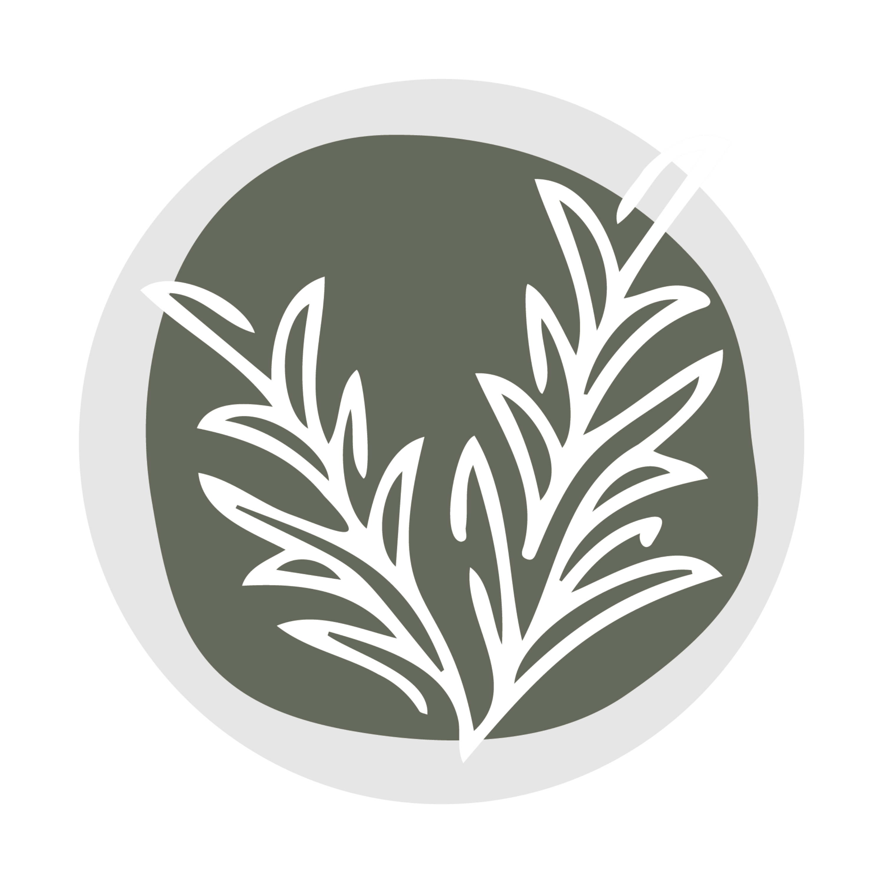 Naturopathic Futures Podcast cover art