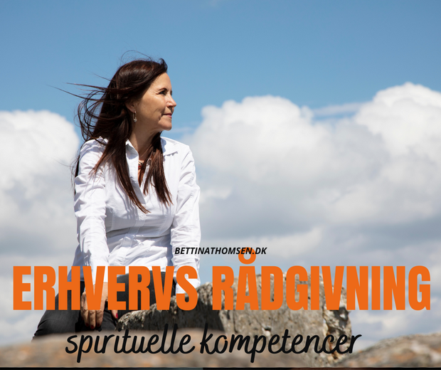 Erhvervs rådgivning