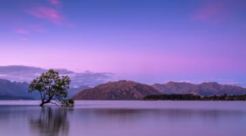 photo-1494500764479-0c8f2919a3d8-edited