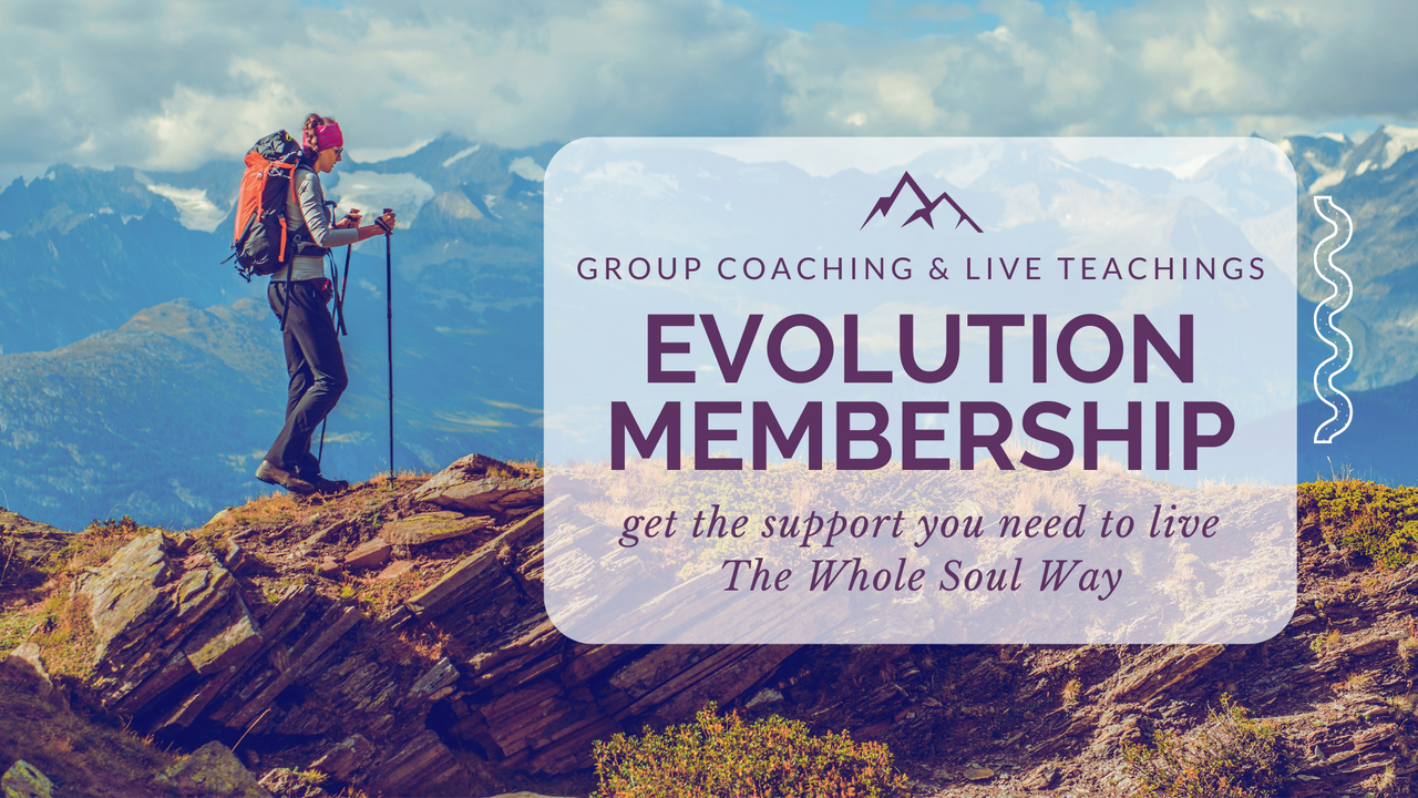 TWSW Evolution Product Card