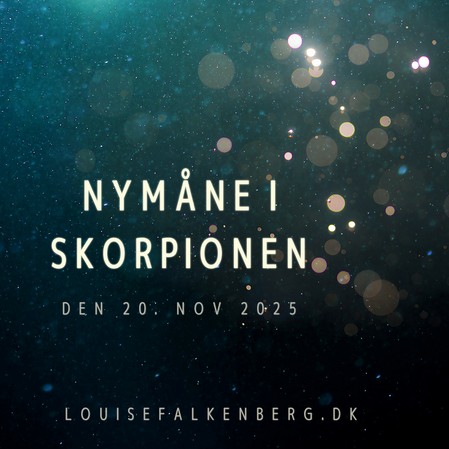 nymåne skorpionen nov 2025