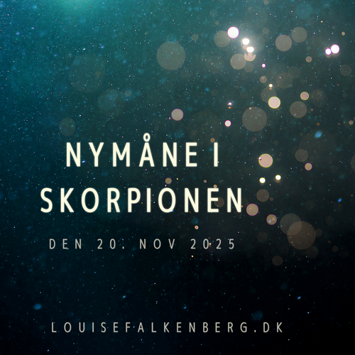nymåne skorpionen nov 2025