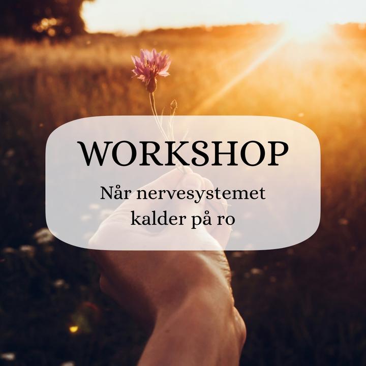 workshopnov25
