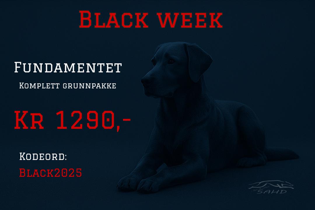 1D4AC233-133D-41A6-A231-25564AD6990B