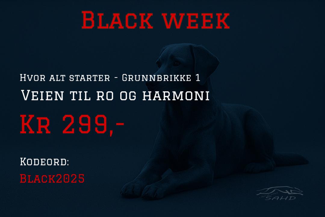 520C5D66-2A26-45B1-AD53-122C32FD7A77