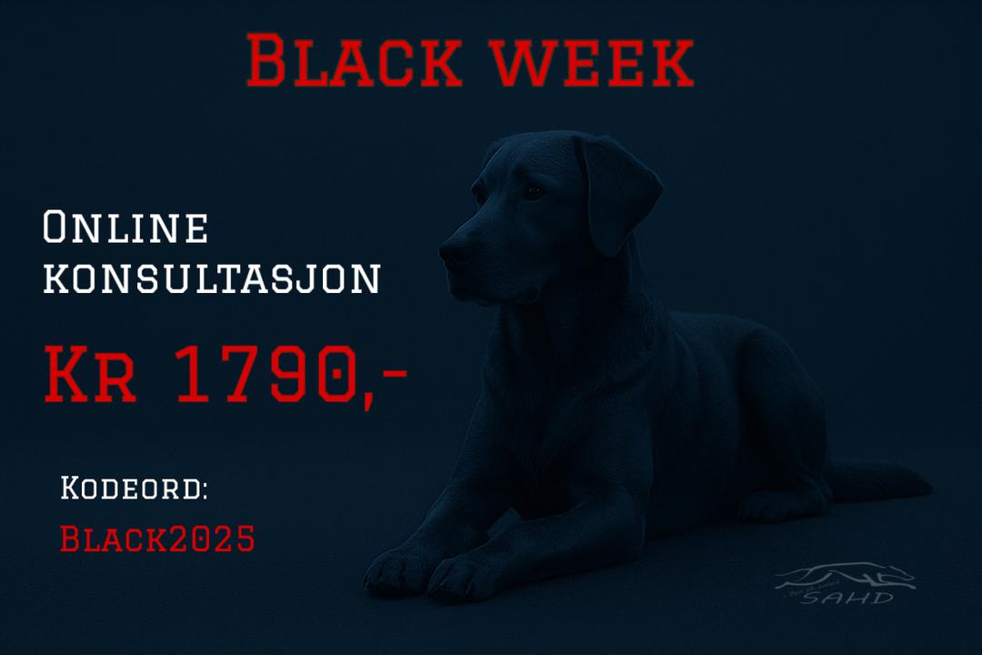 EE1774D6-9826-4030-8395-061A08ACDE7C