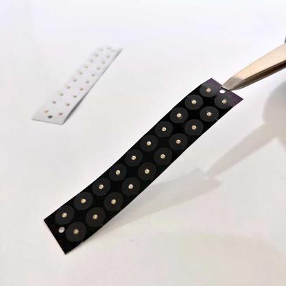 24 Karat Gold Ear Seeds