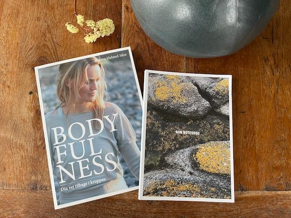 bog og bold - julegave 2025