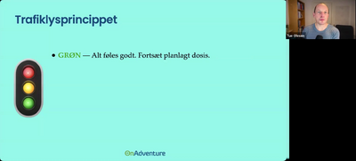 Undgå Skaderne - M4 - 02 - Repetition af Trafiklysprincippet