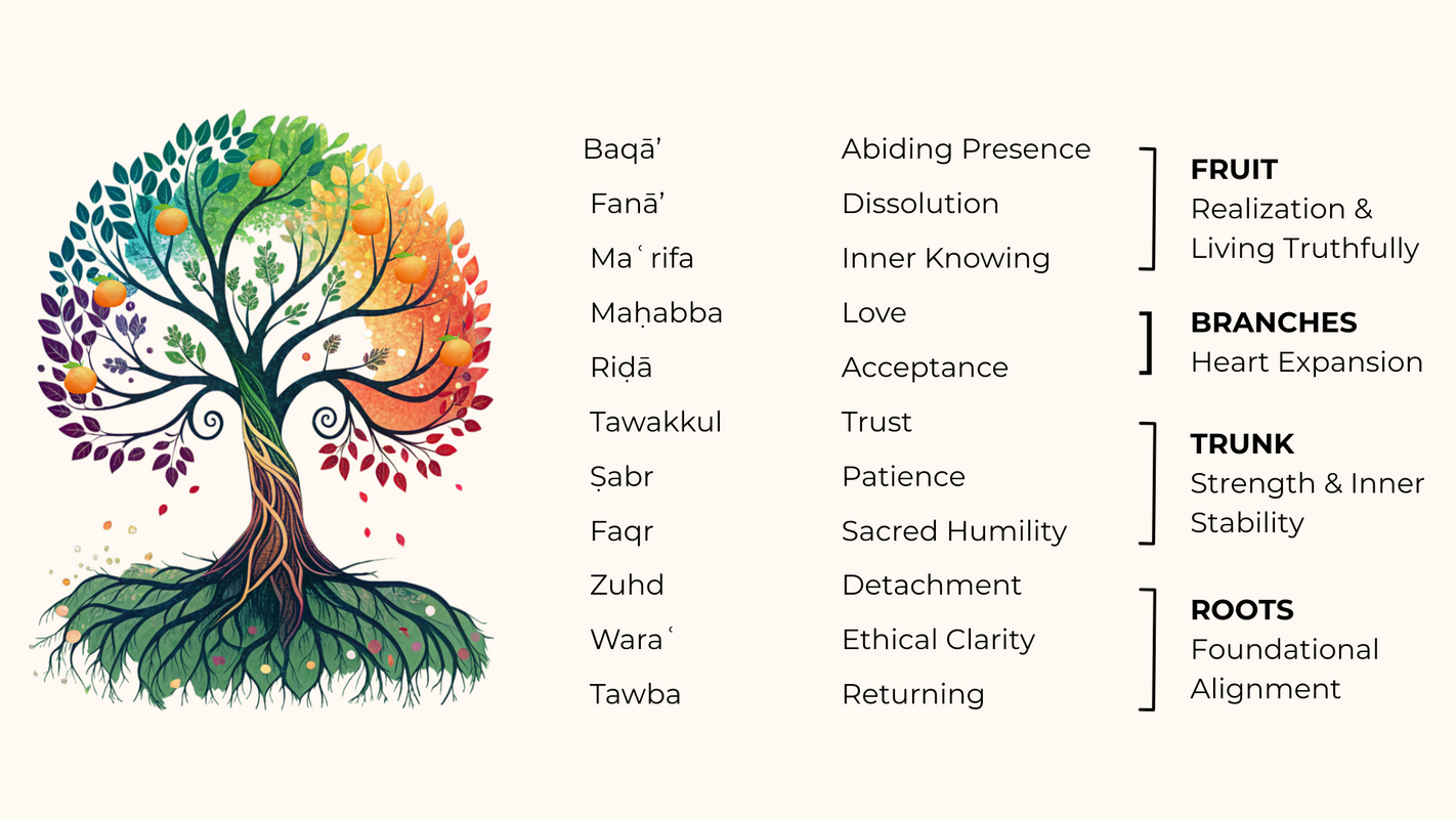Tree of Life - Sufism summary