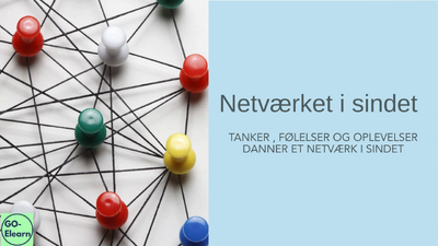 Netværket i sindet - sæt livet i det rette perspektiv