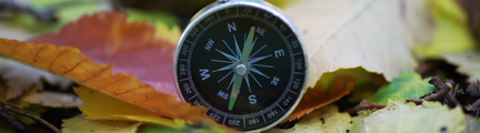Et kompas som ligger på en skovbund hvor der er brune og grønne blade