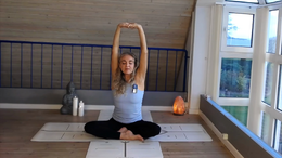 fra efterår til vinter