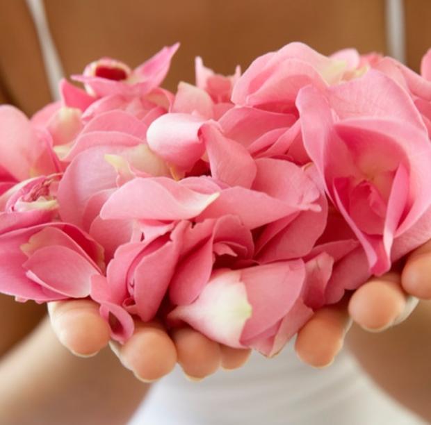 rose in cupped hands