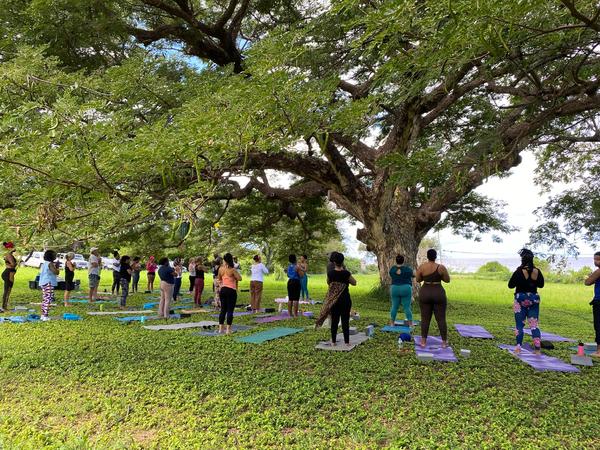 9D9B2BC8-6571-4D8F-A1F5-F162683FC33E - Feather Leaf Inn St Croix