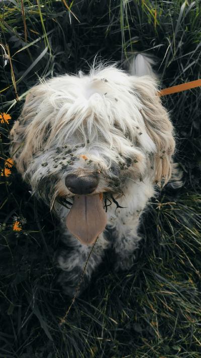 photo-1631723476511-4bf6bedd7787