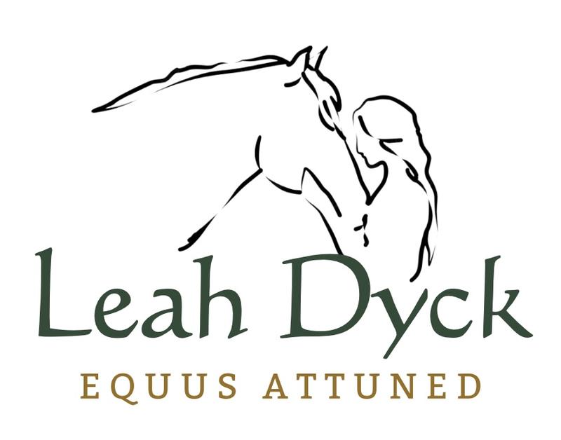 Screenshot 2025-10-29 at 9.32.39 AM