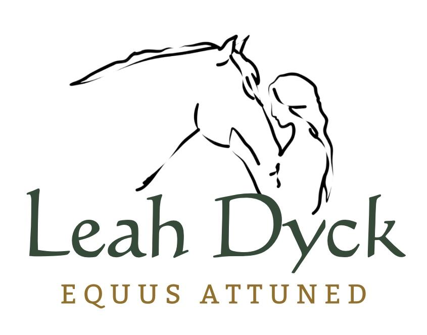 Screenshot 2025-10-29 at 9.32.39 AM