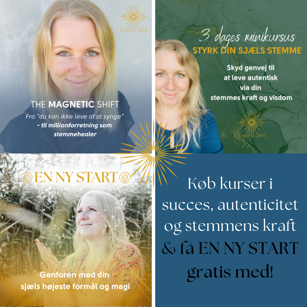 Bundles november 2025(2)