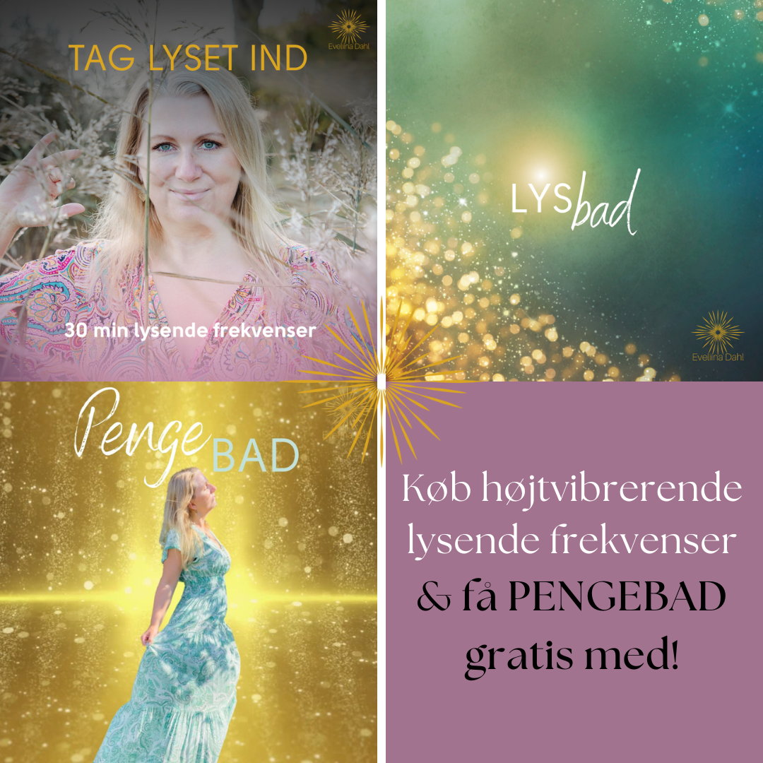 Bundles november 2025(1)