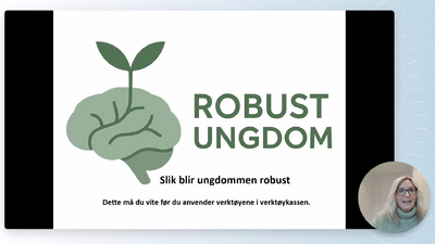 Innledning til verktøykassen