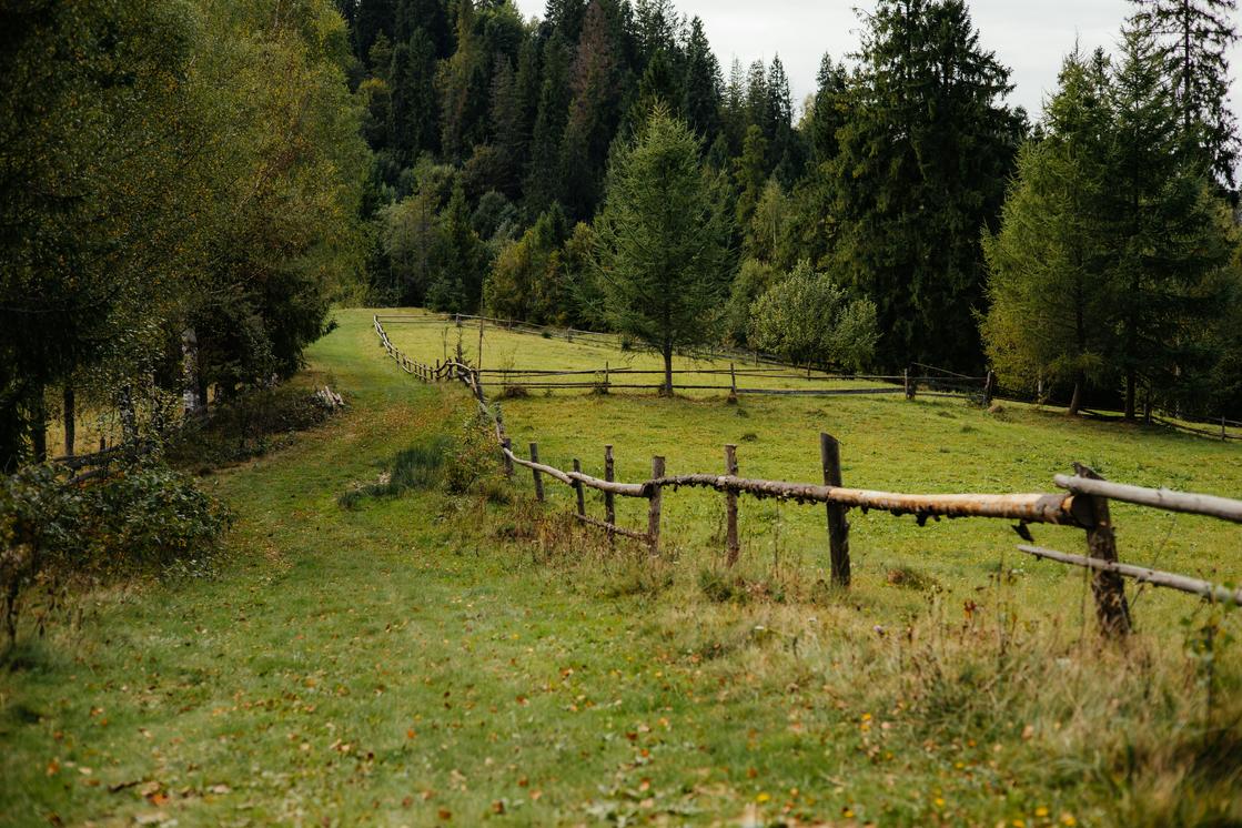 photo-1763490539118-dae20853b543