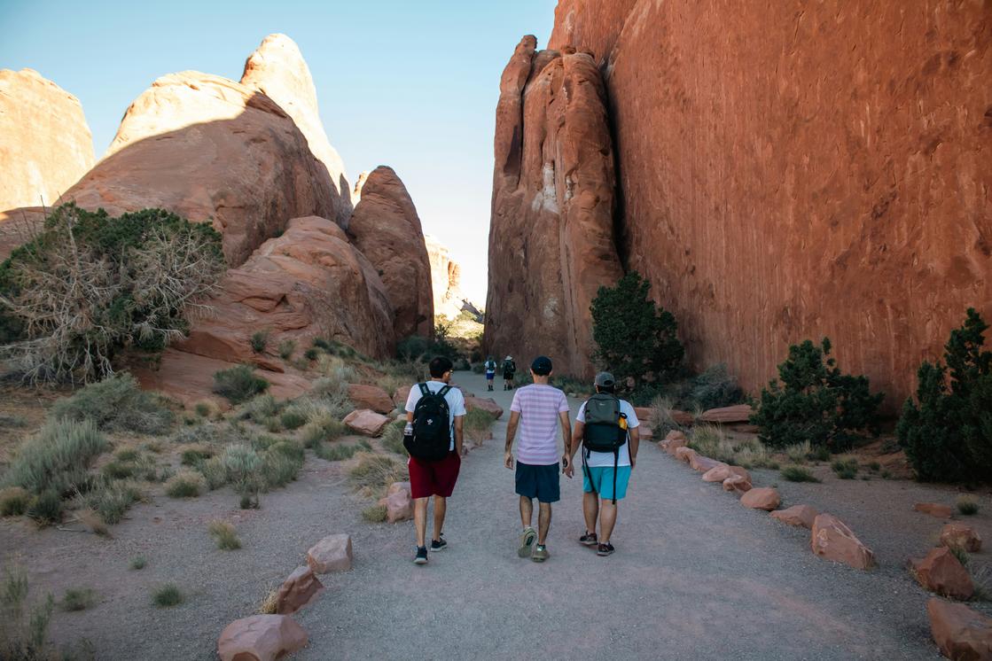 photo-1726156372787-d87bf0e2c502