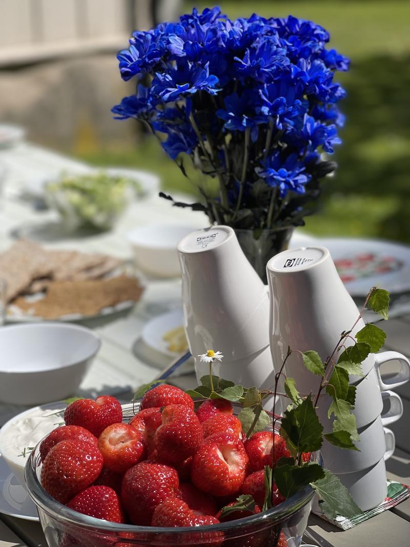 Midsommar Vadstena 2025