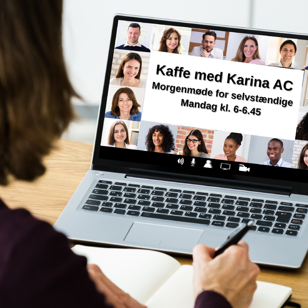 Online netværk med Karina AC (1)