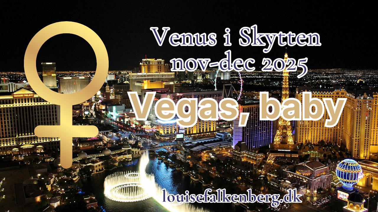 venus i skytten nov dec 2025